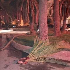 piazza San Pio X