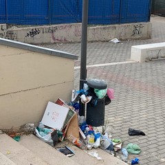Degrado e sporcizia tra le vie Sofia e Gorizia