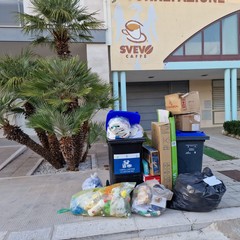 raccolta differenziata nella zona PIP di Andria