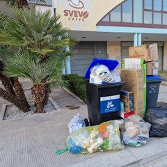 raccolta differenziata nella zona PIP di Andria