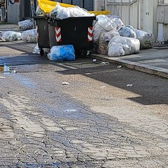 Mancata raccolta plastica nella zona PIP