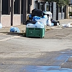 Mancata raccolta plastica nella zona PIP