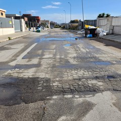 Mancata raccolta plastica nella zona PIP