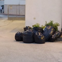 Ripuliti i polivalenti di via delle Querce e di via la Specchia