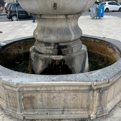 Degrado ed incuria per la storica fontana di piazza Porta la Barra