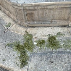 Degrado ed incuria per la storica fontana di piazza Porta la Barra