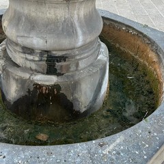 Degrado ed incuria per la storica fontana di piazza Porta la Barra