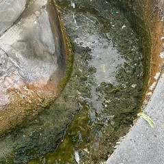 Degrado ed incuria per la storica fontana di piazza Porta la Barra