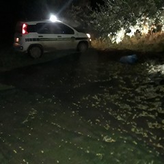 tentativo di furto di olive ad Andria