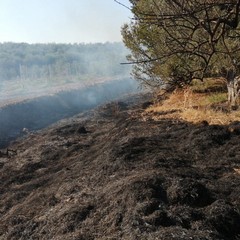 Vasto incendio in contrada Lama del tuono