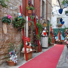Primo Vicolo Casalino Andria