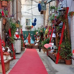 Primo Vicolo Casalino Andria Addobbi San Valentino