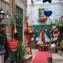 Primo Vicolo Casalino Andria Addobbi San Valentino