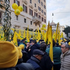 PROTESTA JPG