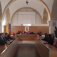 consiglio provinciale
