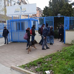 controlli della Polizia di Stato