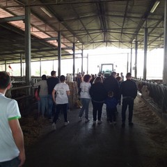 puglianatura maggio azienda acri