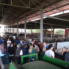 puglianatura maggio azienda acri
