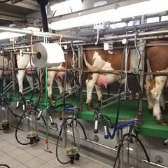puglianatura maggio azienda acri