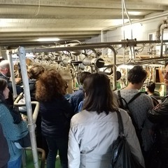 puglianatura maggio azienda acri
