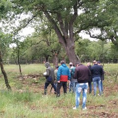 puglianatura maggio tartufo