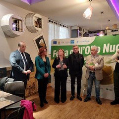 Festa dell'olio novello aspettando Qoco 2023