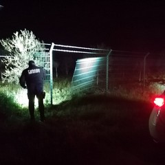 Tentativo di furto in un campo fotovoltaico nelle campagne di Andria