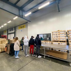 Laboratori aziendali per “operatore agricolo” realizzati ad Andria