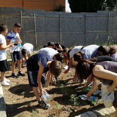 Scuola Secondaria di primo grado “E. Fermi” di Andria