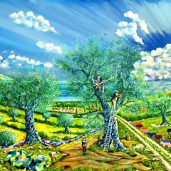 Raccolta delle olive