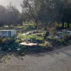 Abbandono di rifiuti ad Andria