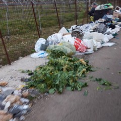 Rifiuti Andria Foto