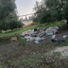 rifiuti nelle campagne di Andria