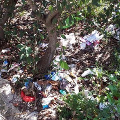 Rifiuti Parco Europa