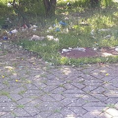 Rifiuti Parco Europa