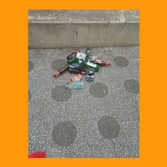 Rifiuti raccolti