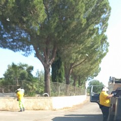 Raccolta rifiuti "a singhiozzo" nella zona di Montevitolo