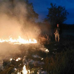 incendio di rifiuti