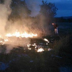 incendio di rifiuti
