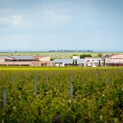 Azienda Rivera della famiglia De Corato