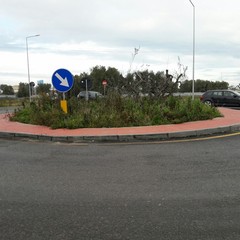 Strada provinciale Andria Trani