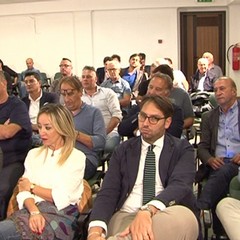 salvini