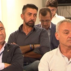 salvini