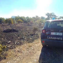 aree percorse dal fuoco degli incendi boschivi