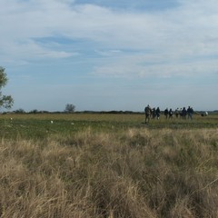 Monte Santa Barbara