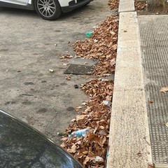 Igiene pubblica