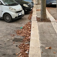 Igiene pubblica
