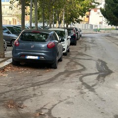 Igiene pubblica