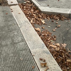 Igiene pubblica