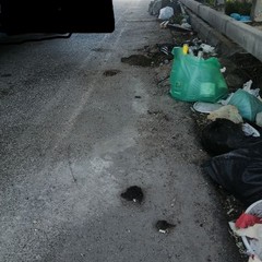 Piazzole di sosta degradate a discariche abusive